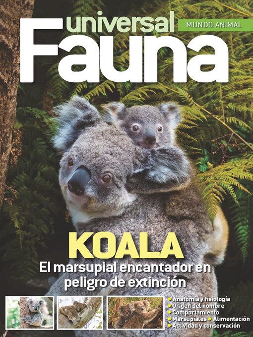 Cover image for Fauna Universal